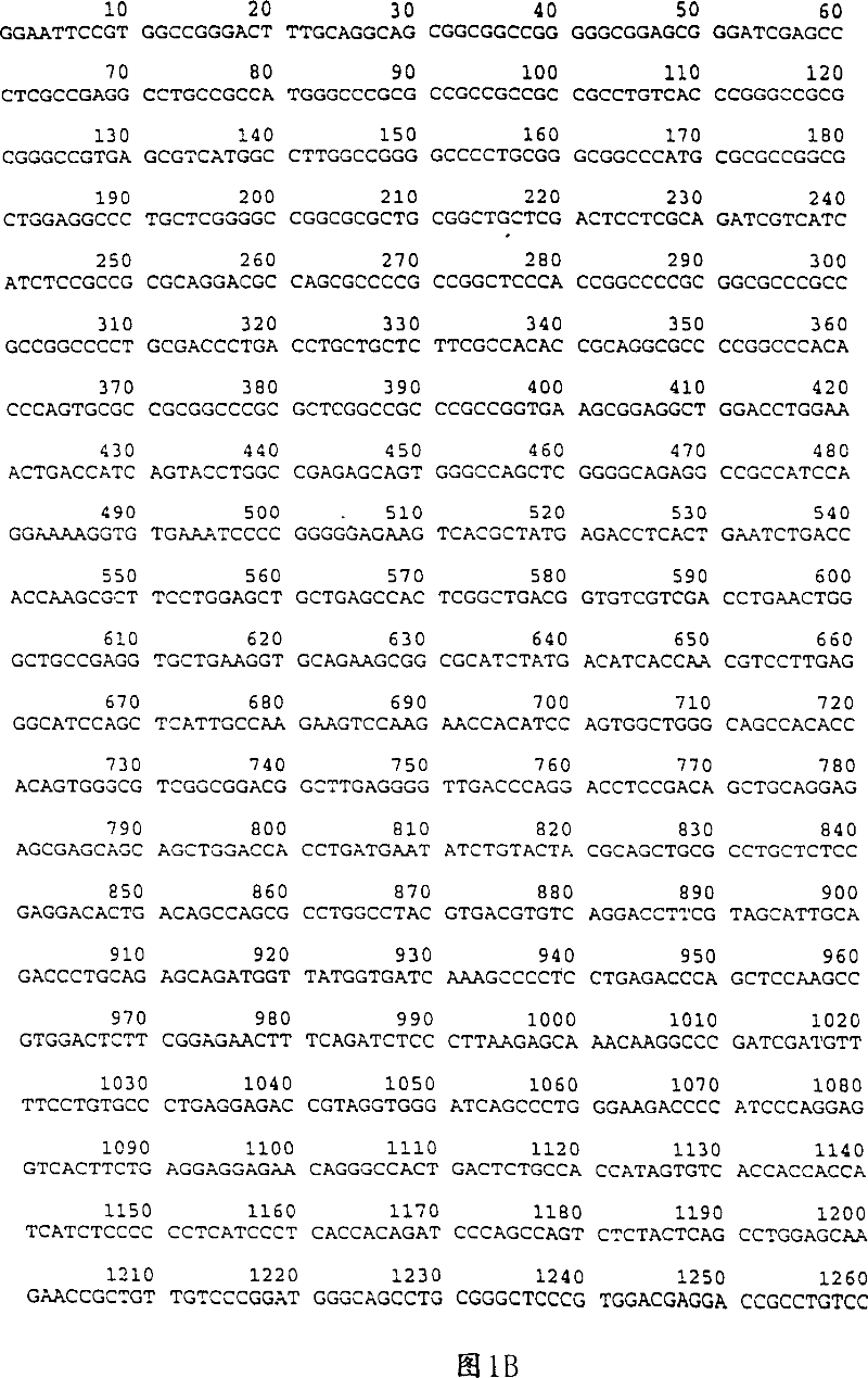 Tissue specific expression of retinoblastoma protein