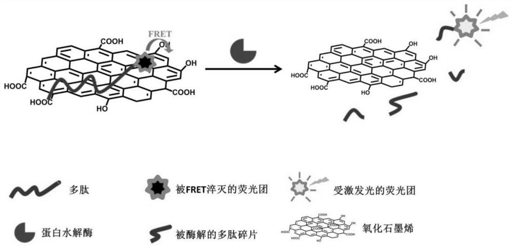 Method for evaluating quality of blood samples