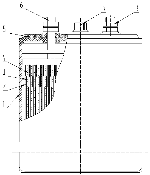 Large-capacity double-bag type iron-nickel battery