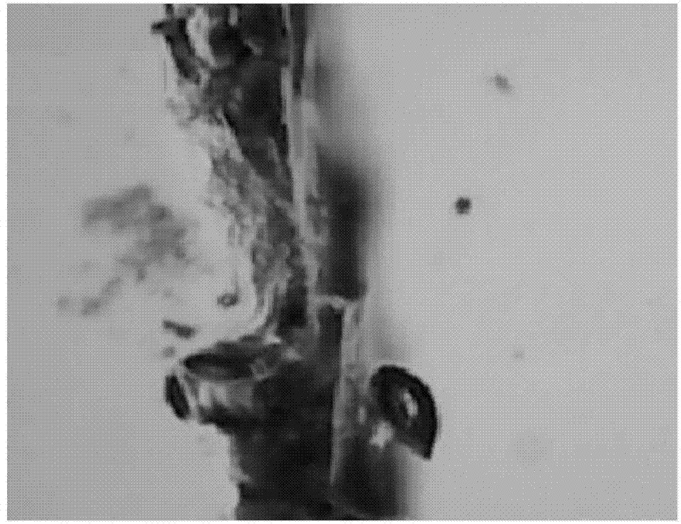 Repairing method for damaged polyurethane material