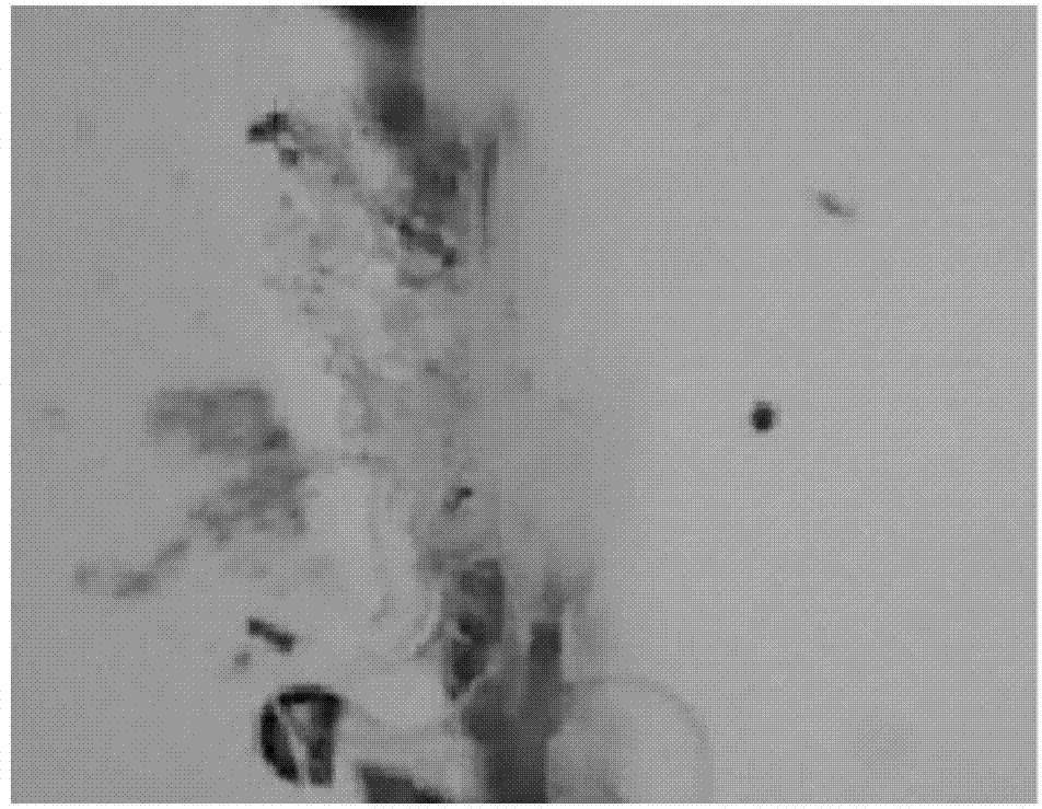 Repairing method for damaged polyurethane material