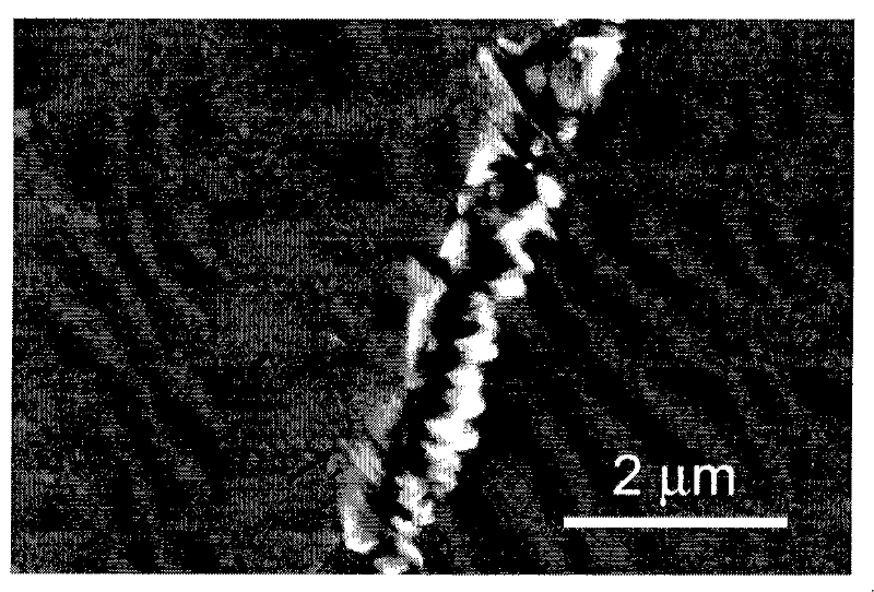 Test system and test method for dynamic bending fatigue property of thin film material