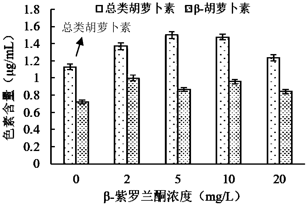 Method for promoting accumulation of carotenoids and beta-carotene in Dunaliella by using beta-ionone