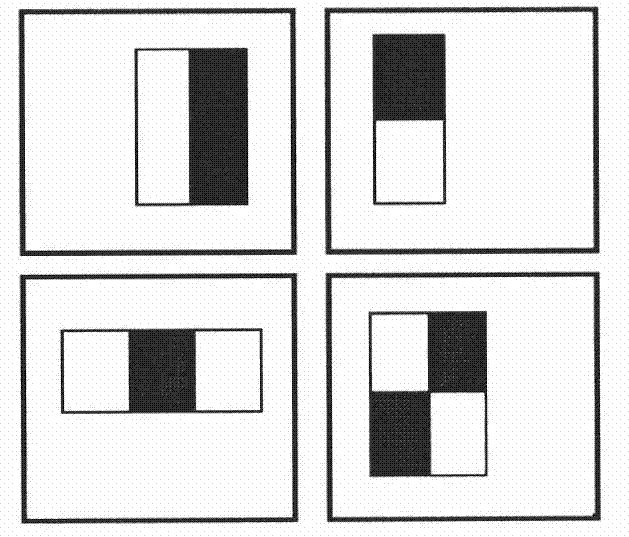 Automatic identification method of frontal human body under long-distance video