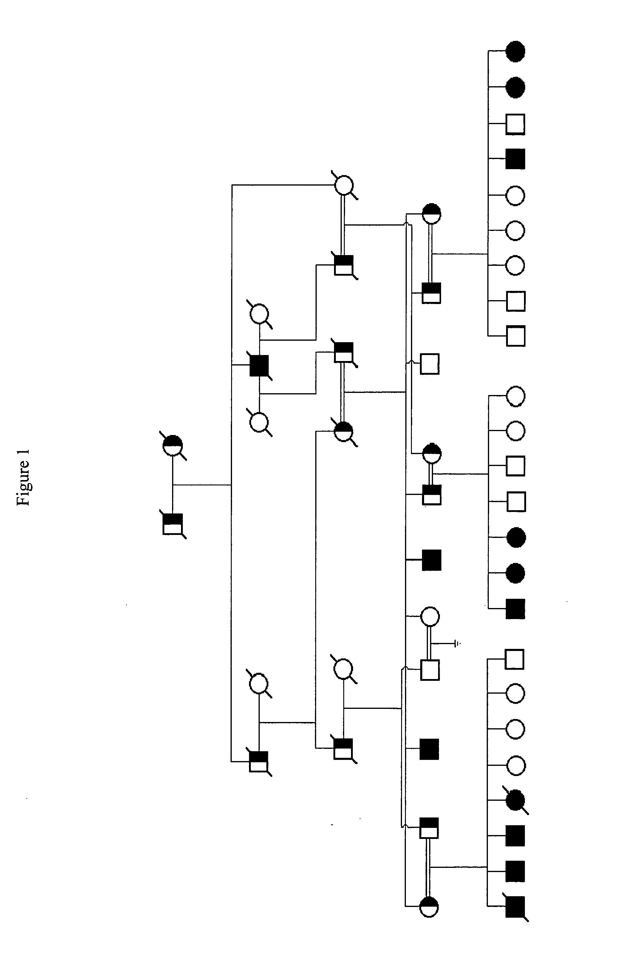 MO-1, A Gene Associated With Morbid Obesity