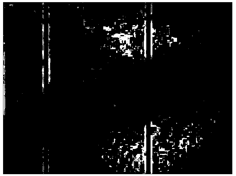 Chemical staining method using niacinamide adenine dinucleotide diaphorase tissue