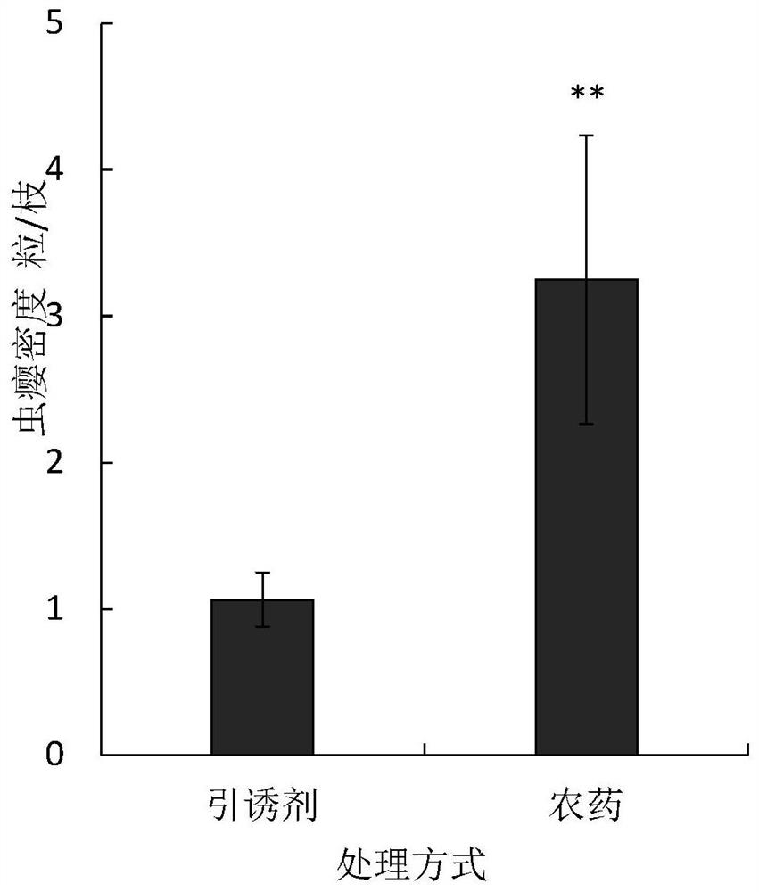 A wolfberry red gall mosquito attractant composition, lure core and application