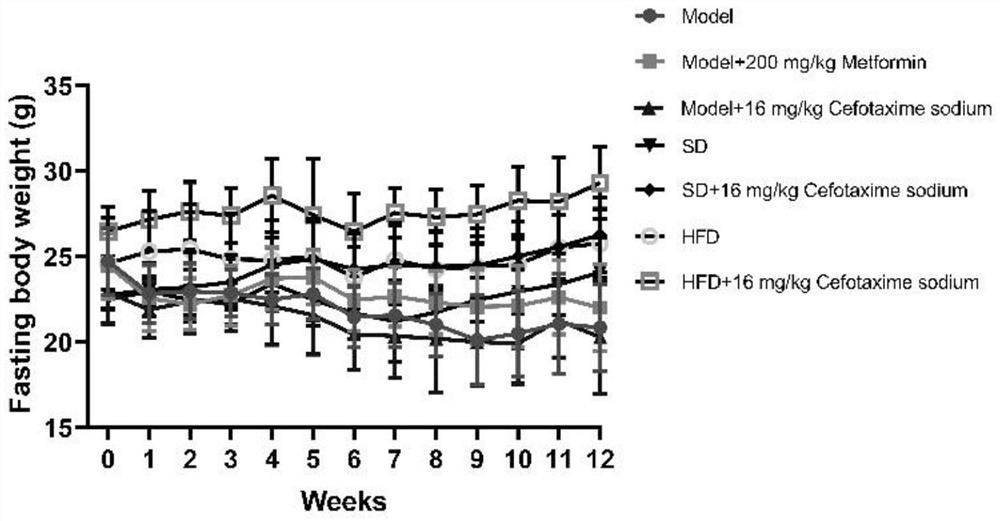 Cephalosporin compound and application thereof to preparation of medicine for treating diabetes and complications