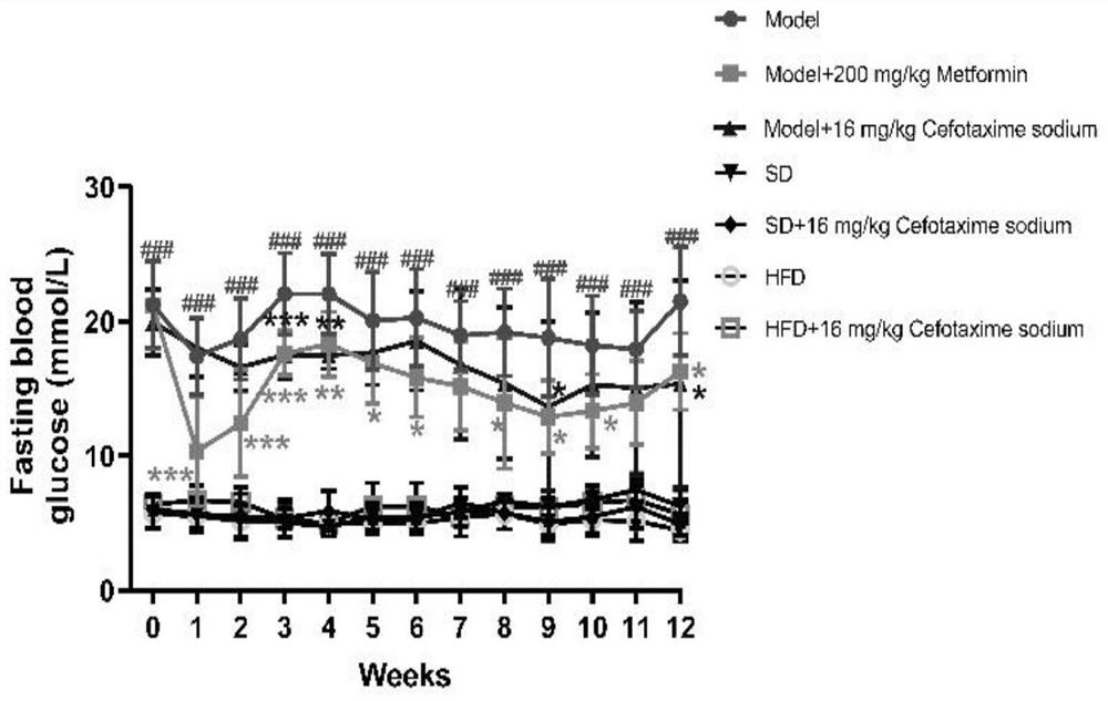 Cephalosporin compound and application thereof to preparation of medicine for treating diabetes and complications