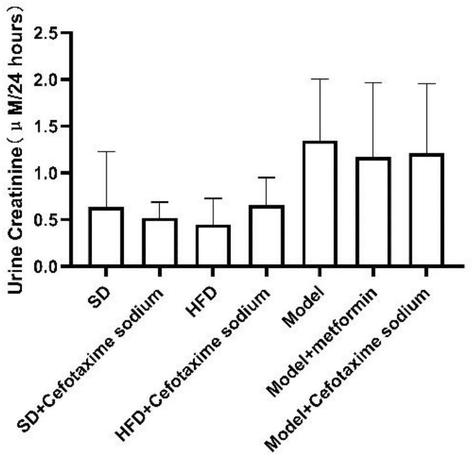 Cephalosporin compound and application thereof to preparation of medicine for treating diabetes and complications