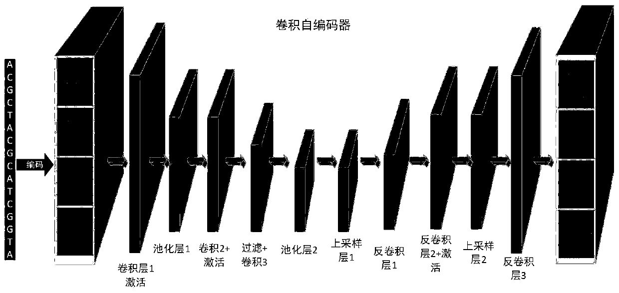 Transcription factor binding site prediction method based on depth convolution automatic encoder