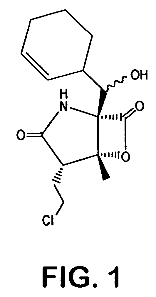 Salinosporamides and methods for use thereof