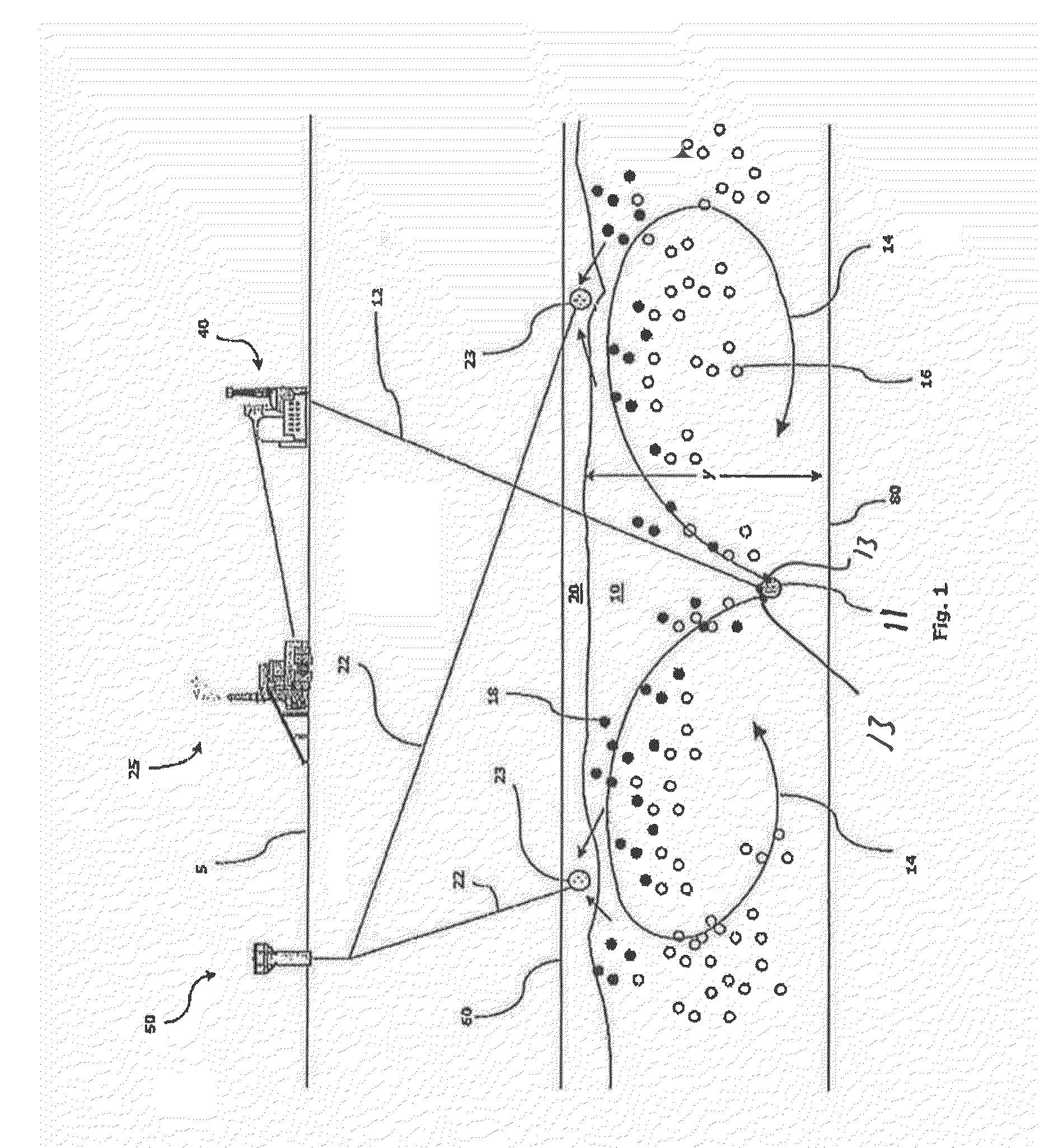 Process for sequestration of fluids in geological formations