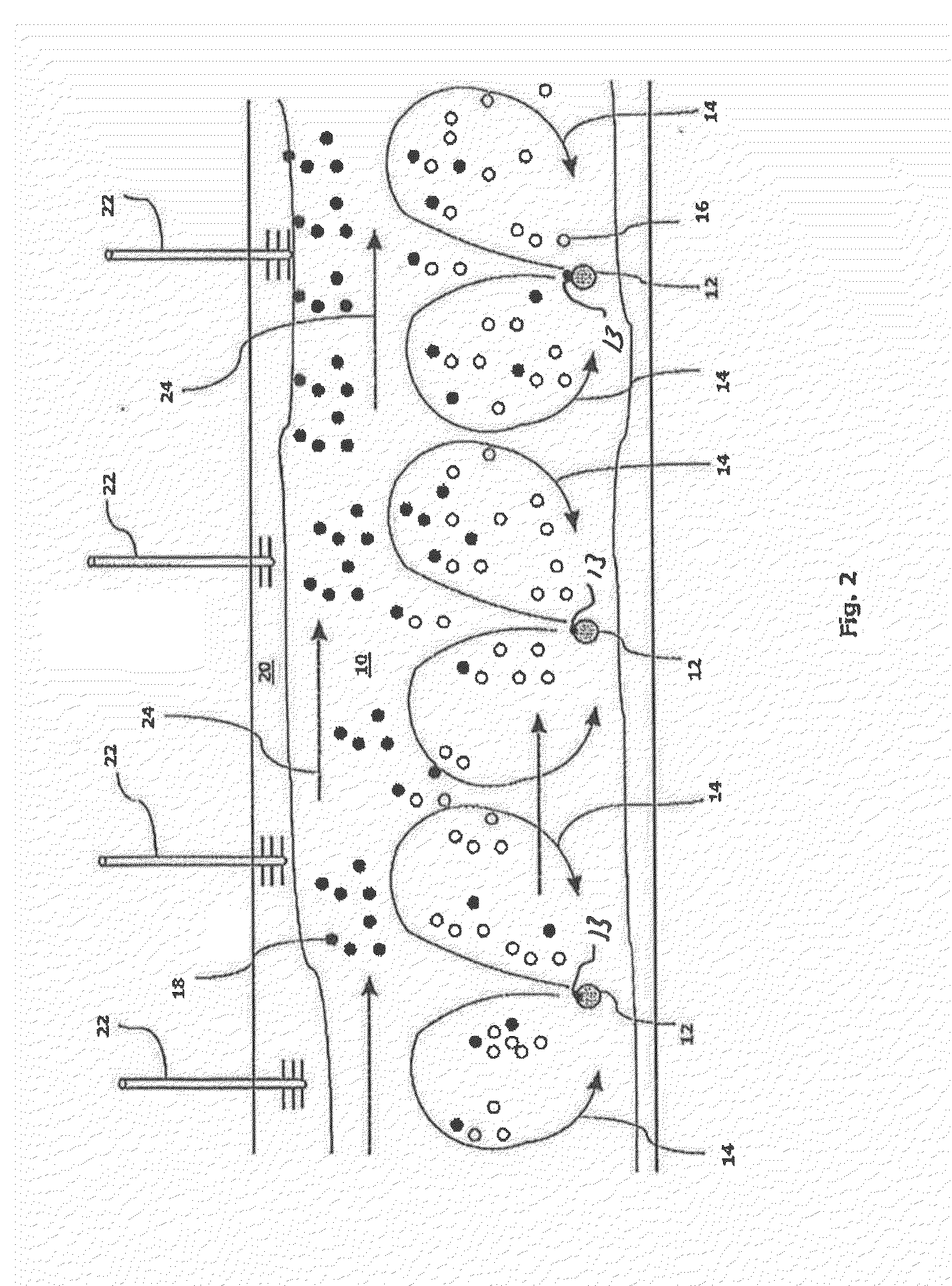 Process for sequestration of fluids in geological formations