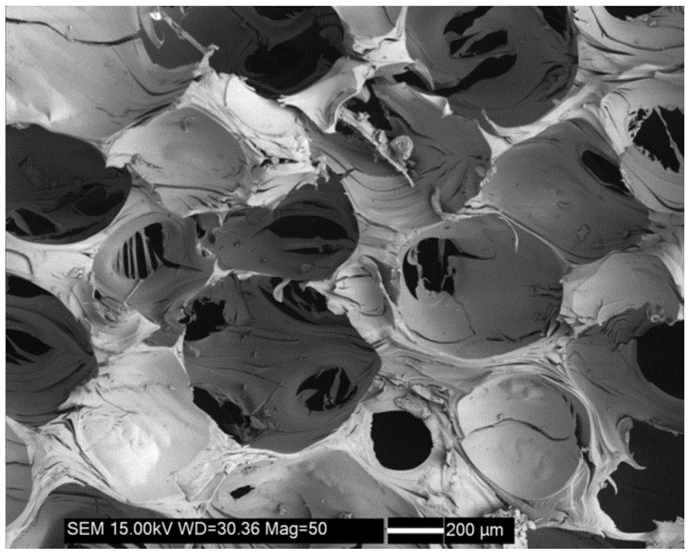 Foamy carbon/paraffin type phase-change composite material and encapsulation method thereof