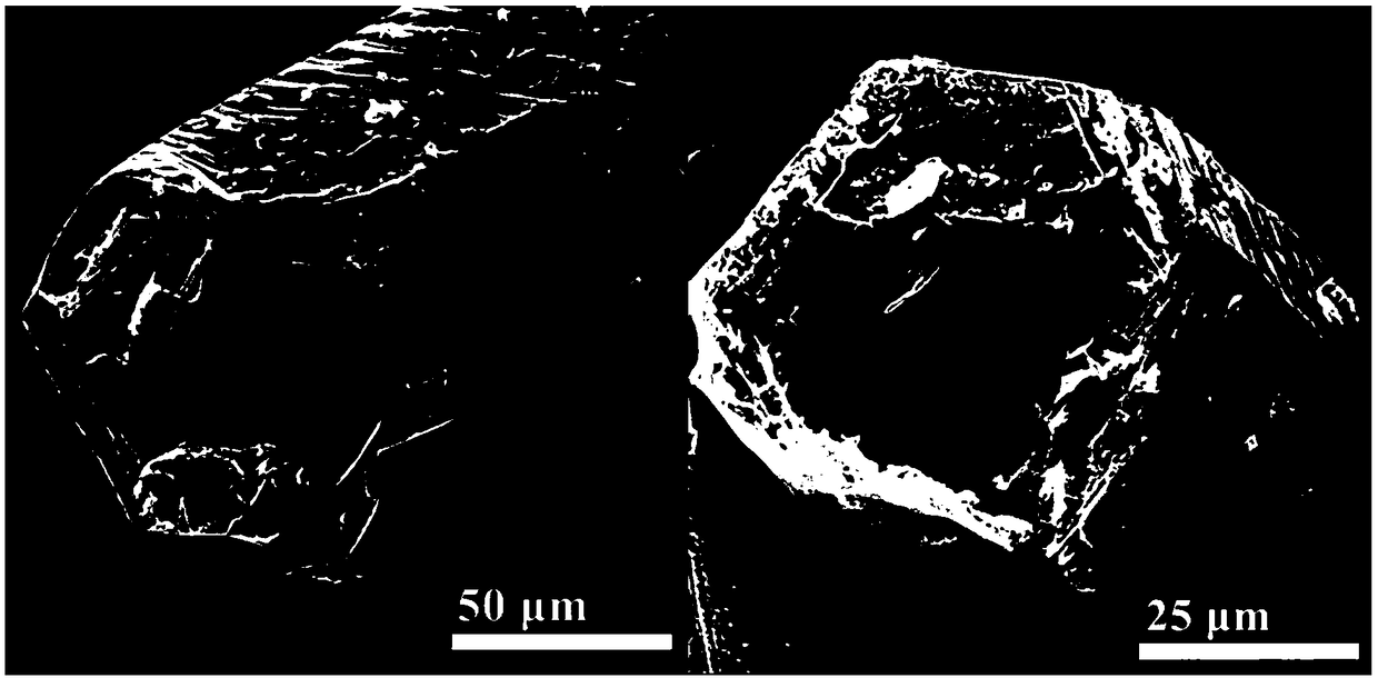 Porous tubular C3N4 photocatalyst and preparation method thereof