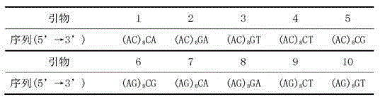 Molecular marker fingerprinting for identifying anoectochilus formosanus produced at Huoshan in Anhui and similar species thereof