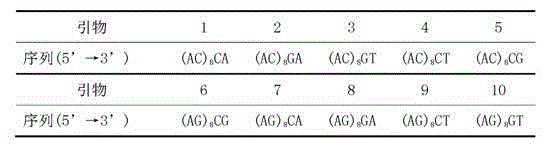 Molecular marker fingerprinting for identifying anoectochilus formosanus produced at Huoshan in Anhui and similar species thereof