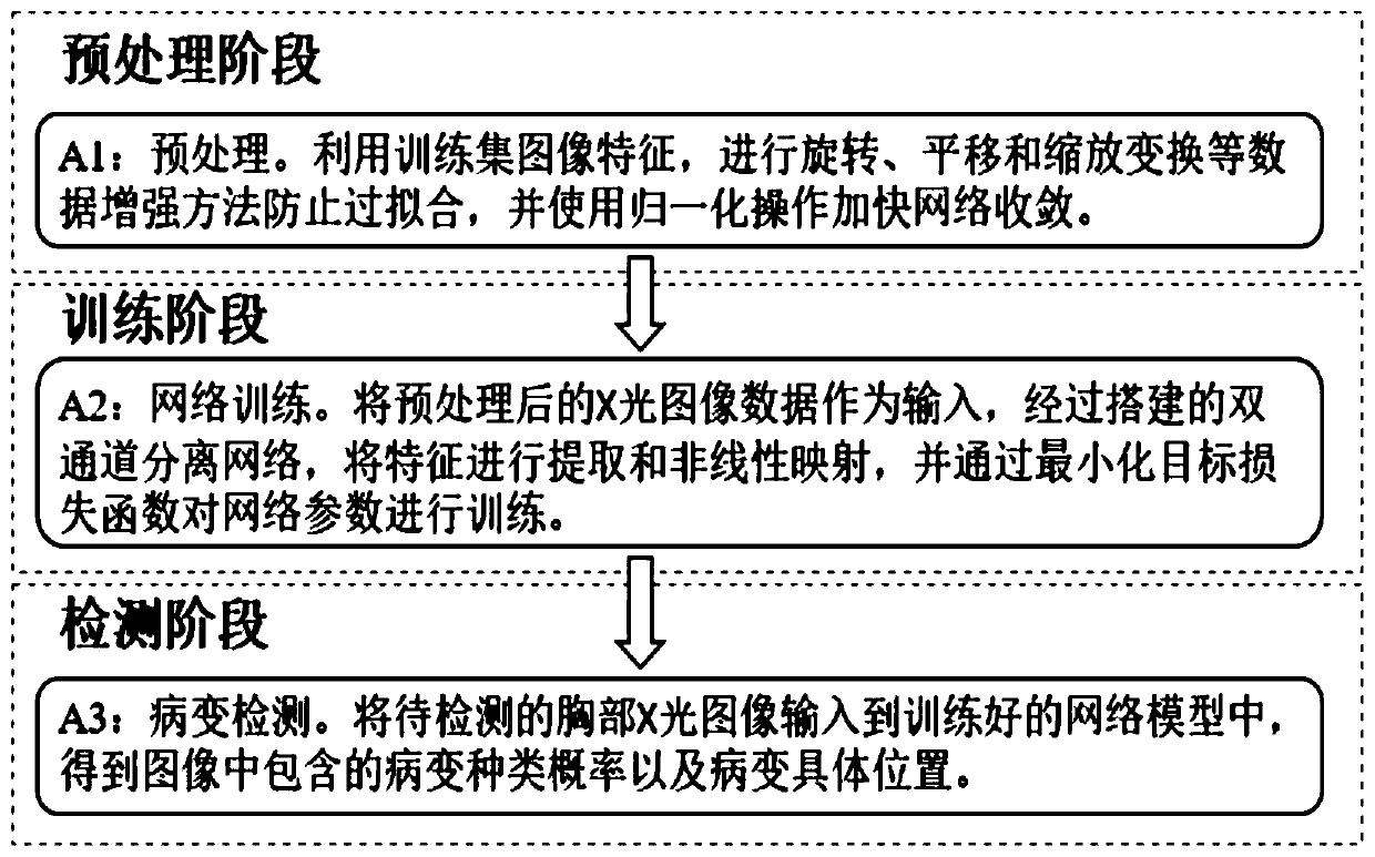 Chest X-ray disease detection device and method based on dual-channel separation network