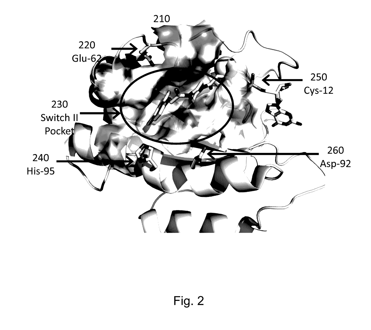 Method for screening inhibitors of ras