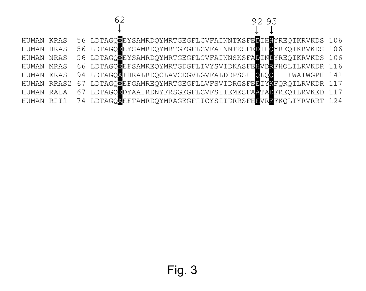 Method for screening inhibitors of ras