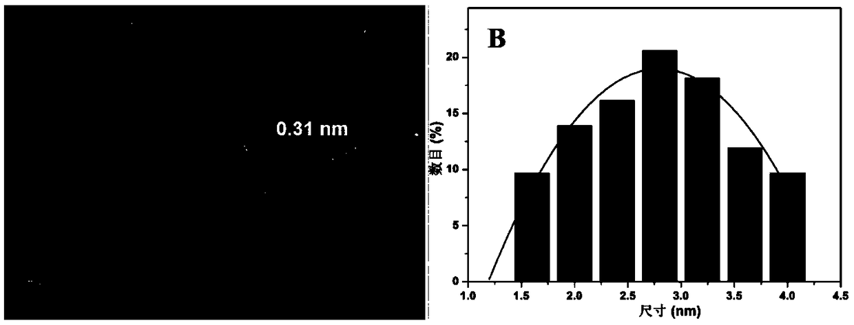 N, P doped carbon quantum dots as well as preparation method and application thereof