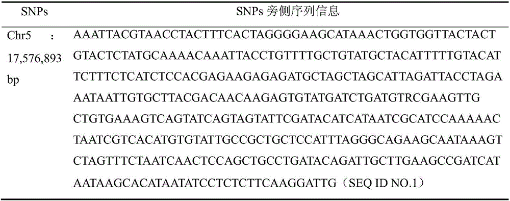 Mononucleotide polymorphic marker site, primers and kit for identifying peach fruit epidermal hair characters, and application thereof