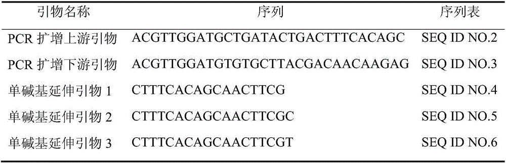 Mononucleotide polymorphic marker site, primers and kit for identifying peach fruit epidermal hair characters, and application thereof