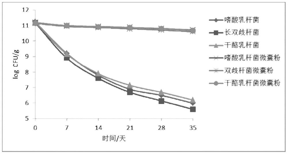 A kind of probiotic microcapsules which maintain the activity of bacterial species and its preparation method