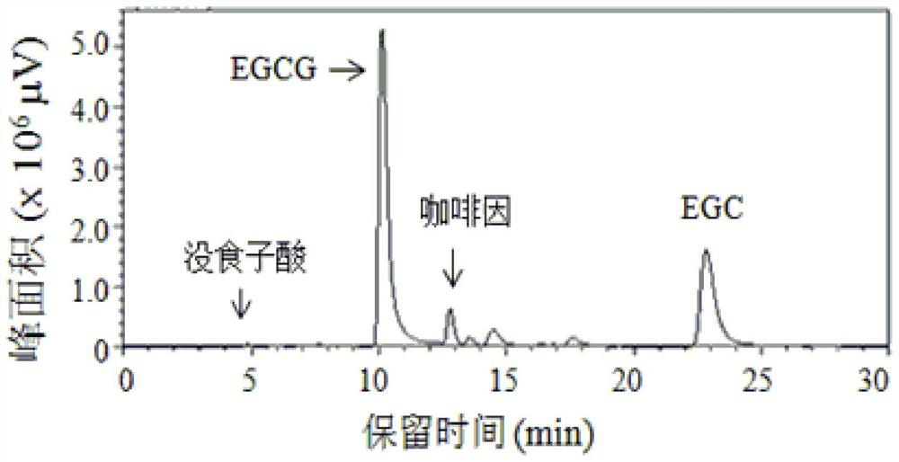 A simple and efficient method for two-liquid phase extraction, separation and purification and preparation of high-purity tea polyphenols