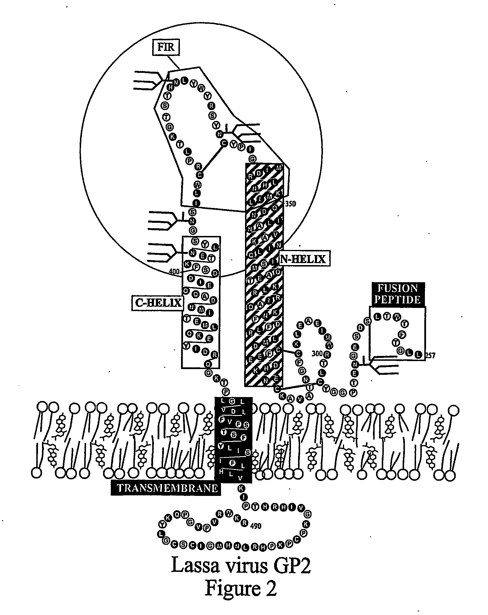 Method of preventing virus: cell fusion by inhibiting the function of the fusion initiation region in rna viruses having class i membrane fusogenic envelope proteins