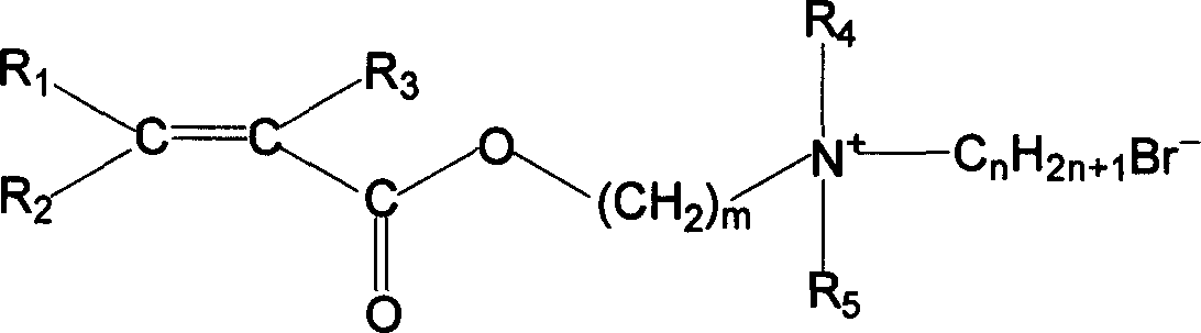 Hydrophobic associating water-soluble polymer of compound positive ions