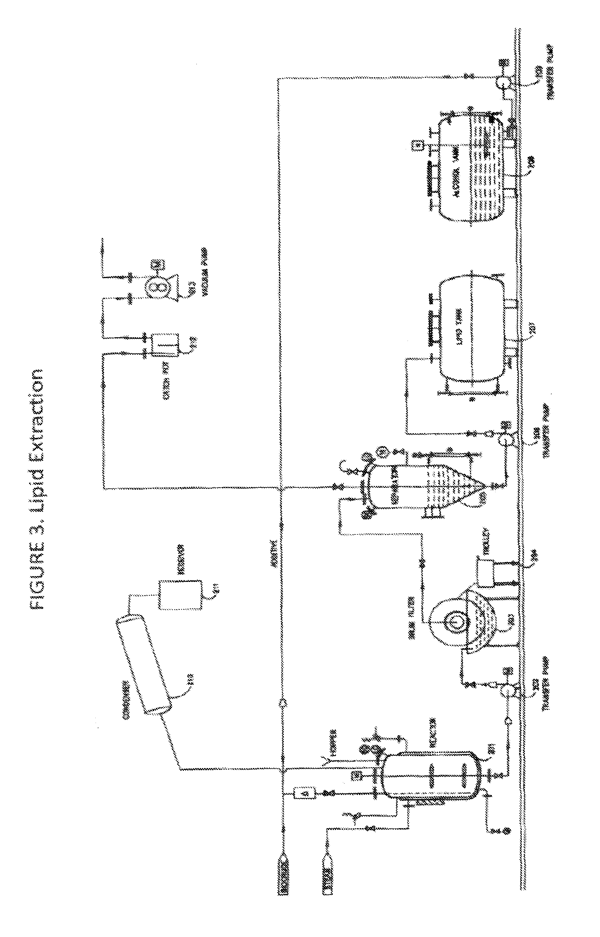 Methods for production of algae derived oils