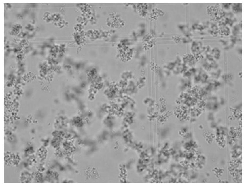 Preparation method of insulin crystals and products thereof