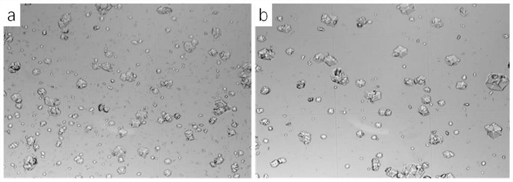 Preparation method of insulin crystals and products thereof