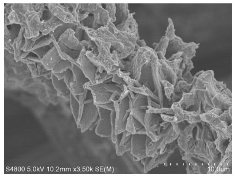 Preparation method and application of MOFs derived cobalt sulfide particle composite carbon material