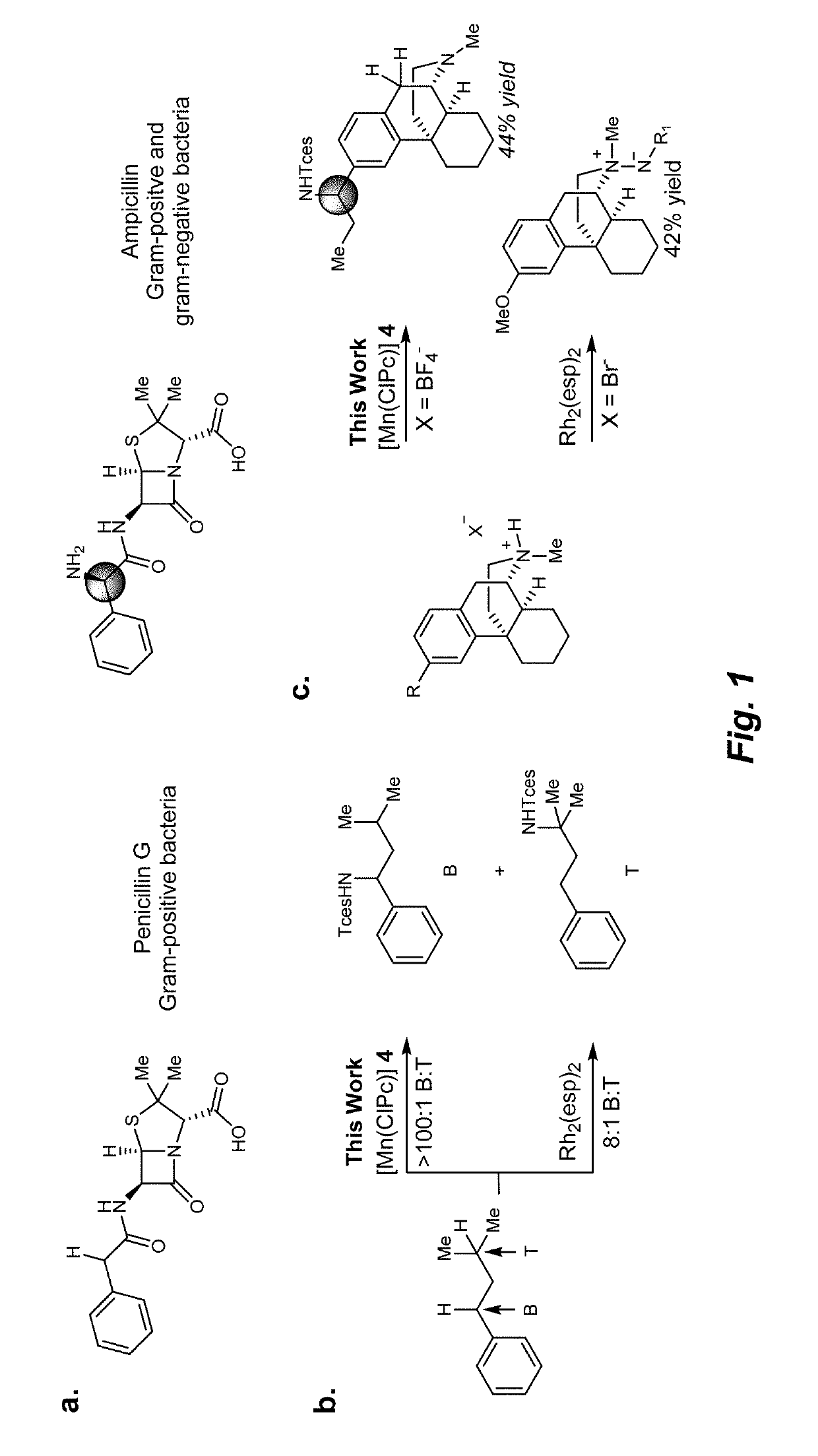 Manganese (III) catalyzed c--h aminations