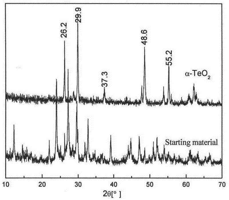 Alpha-TeO2 of micro structure and production method and application thereof