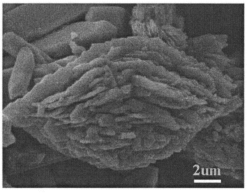 Alpha-TeO2 of micro structure and production method and application thereof