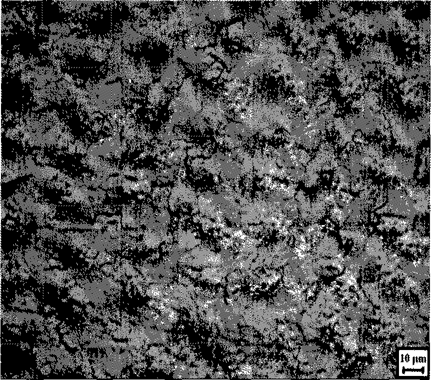 Method for producing nickel coating on metal surface