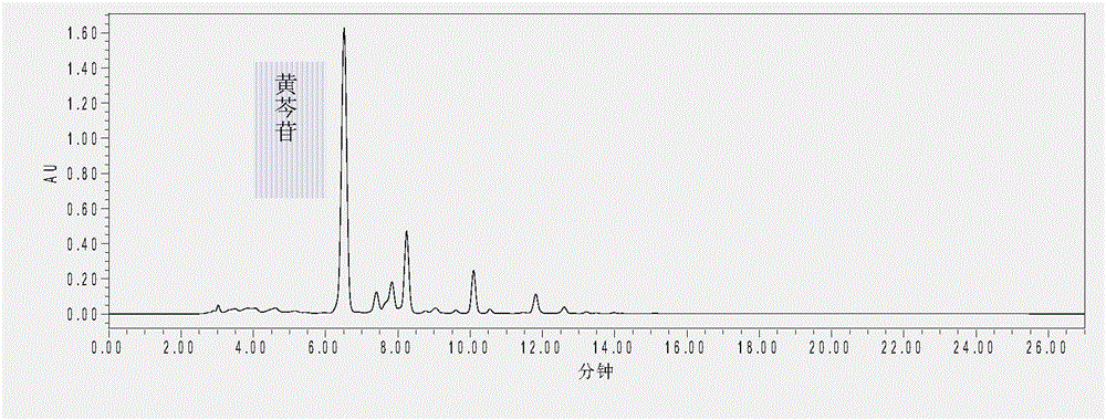 Scutellaria baicalensis extract preparation method