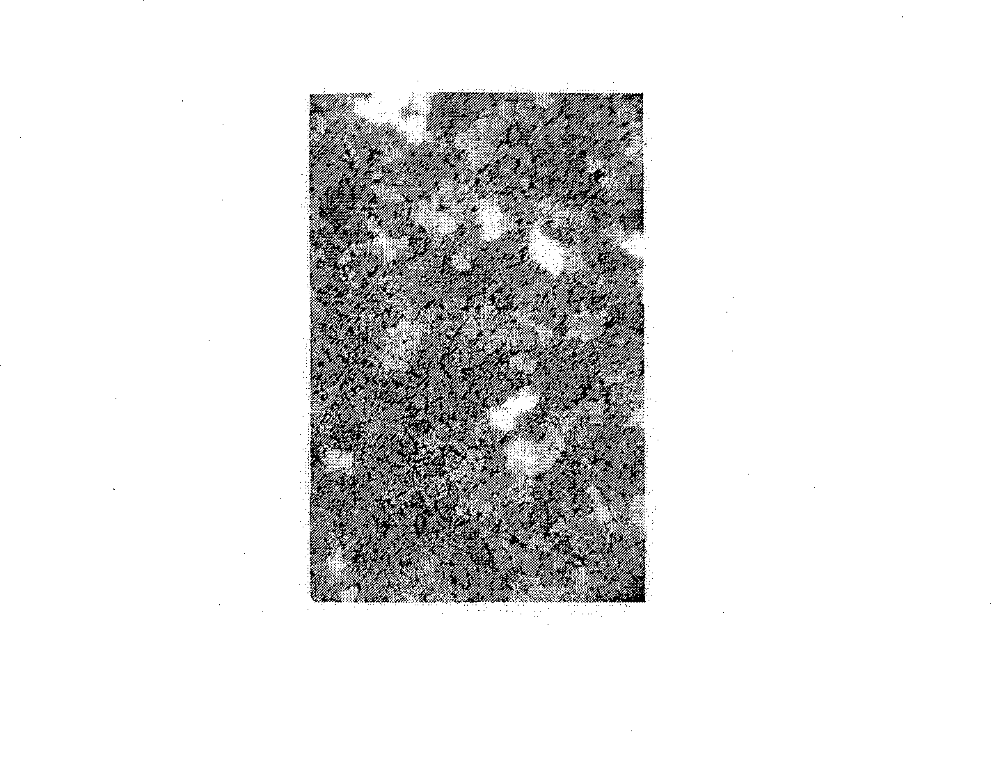 Fine grained aluminum alloy and its preparing method