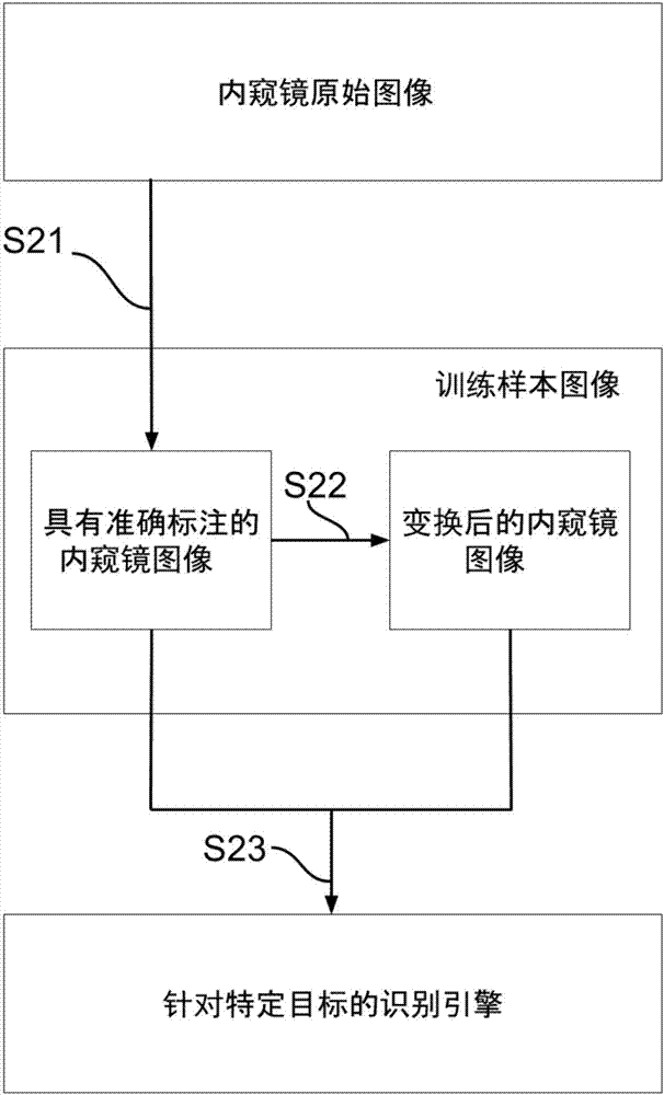 Polyp image identification system and method