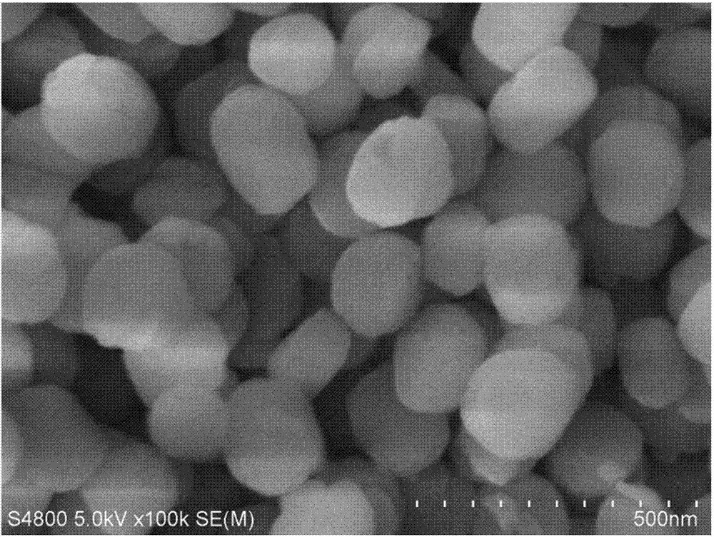 Preparation method for Silicate-1 molecular sieve catalyst, catalyst and method for preparing caprolactam