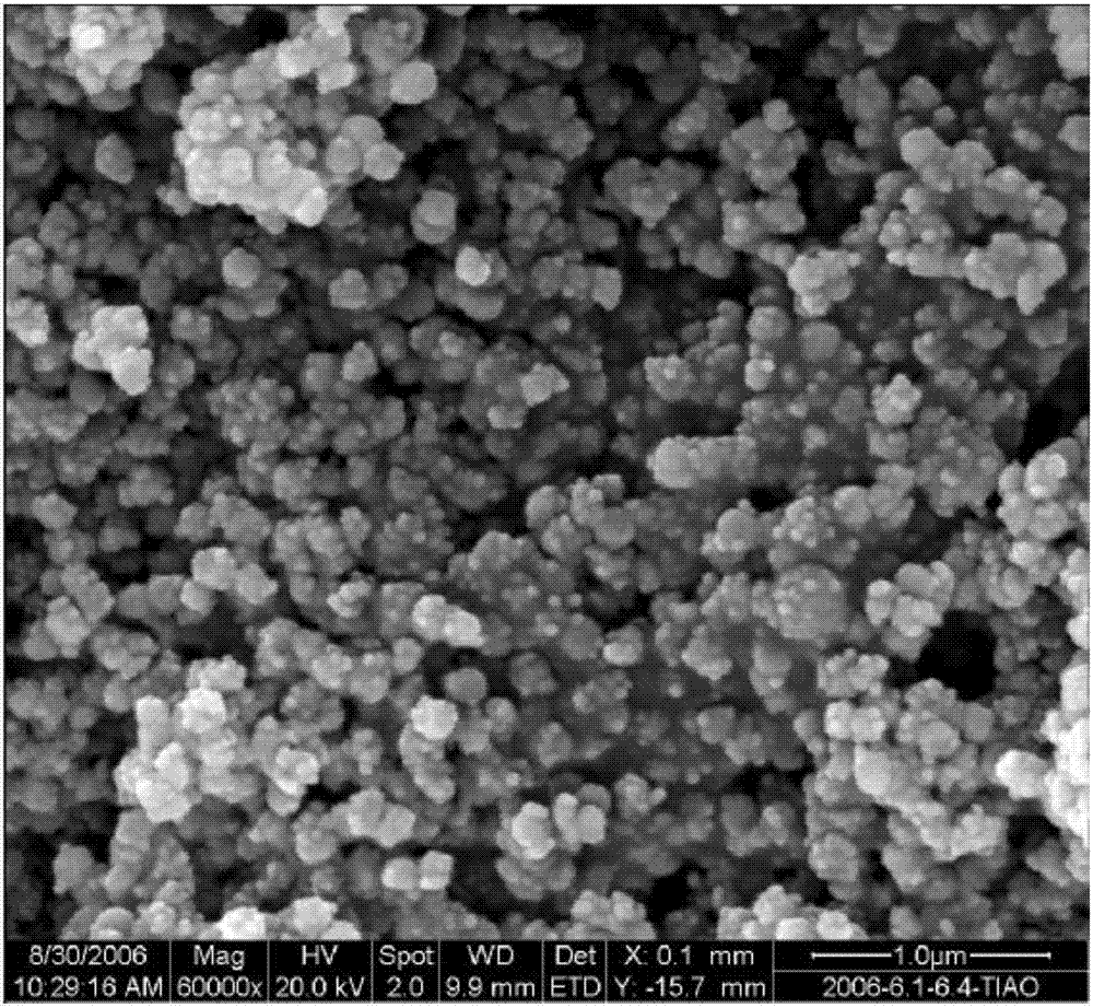 Preparation method for Silicate-1 molecular sieve catalyst, catalyst and method for preparing caprolactam