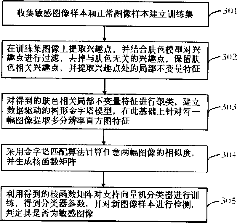 High-efficiency method and system for sensitive image detection