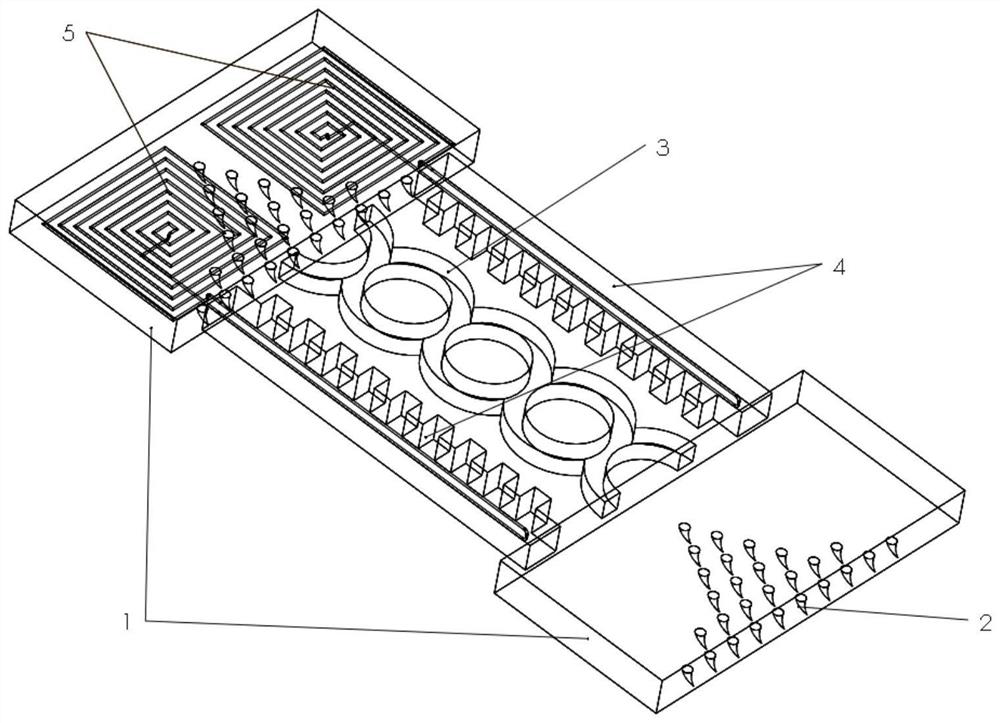 Steerable soft crawling robot based on shape memory alloy driving and control method of steerable soft crawling robot