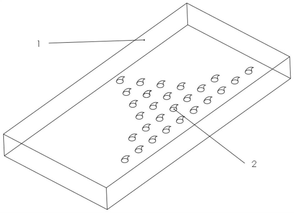 Steerable soft crawling robot based on shape memory alloy driving and control method of steerable soft crawling robot