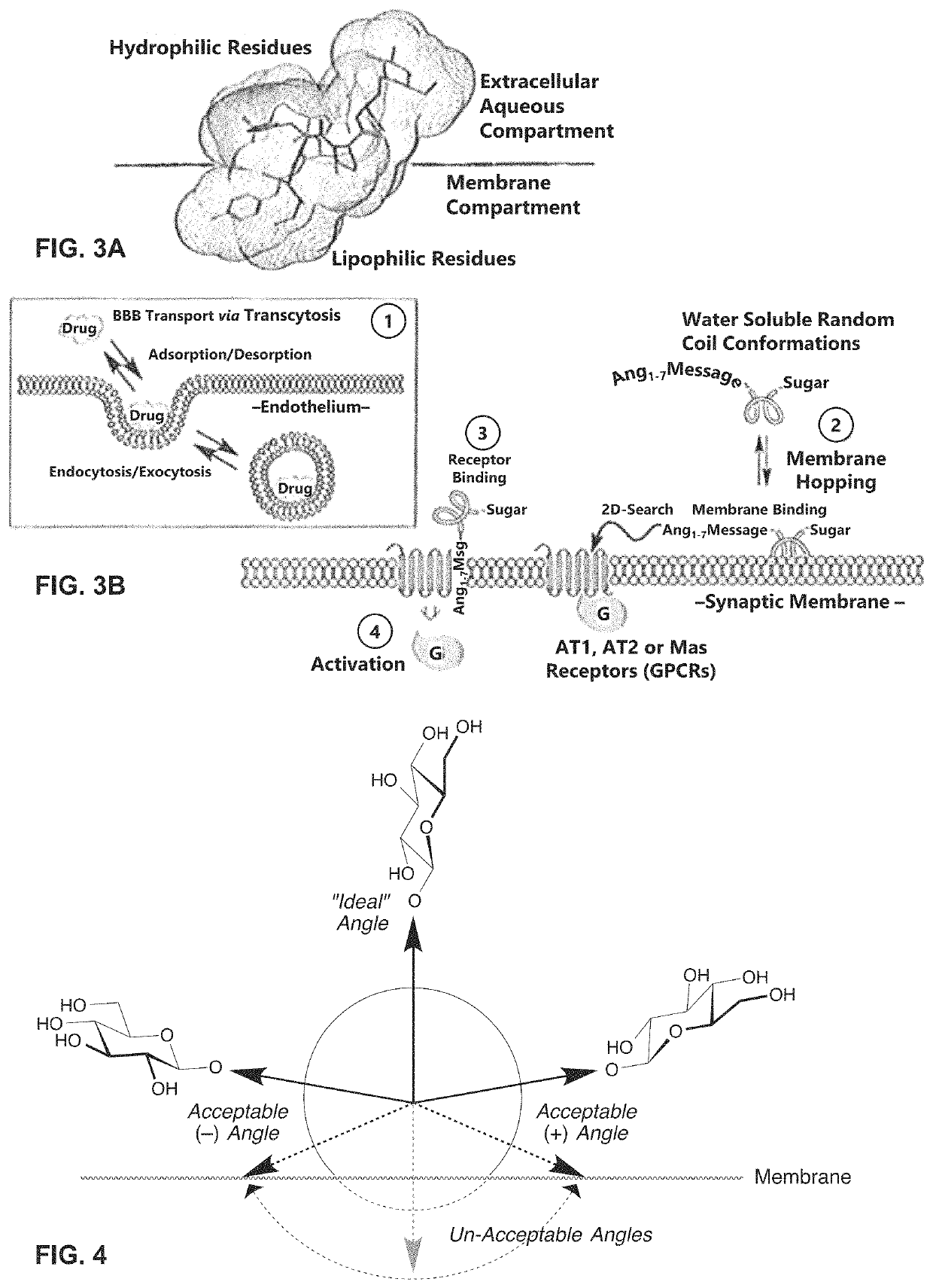 Glycosylated peptides with pseudoproline residues and having enhanced half-lives and ability to cross the blood brain barrier