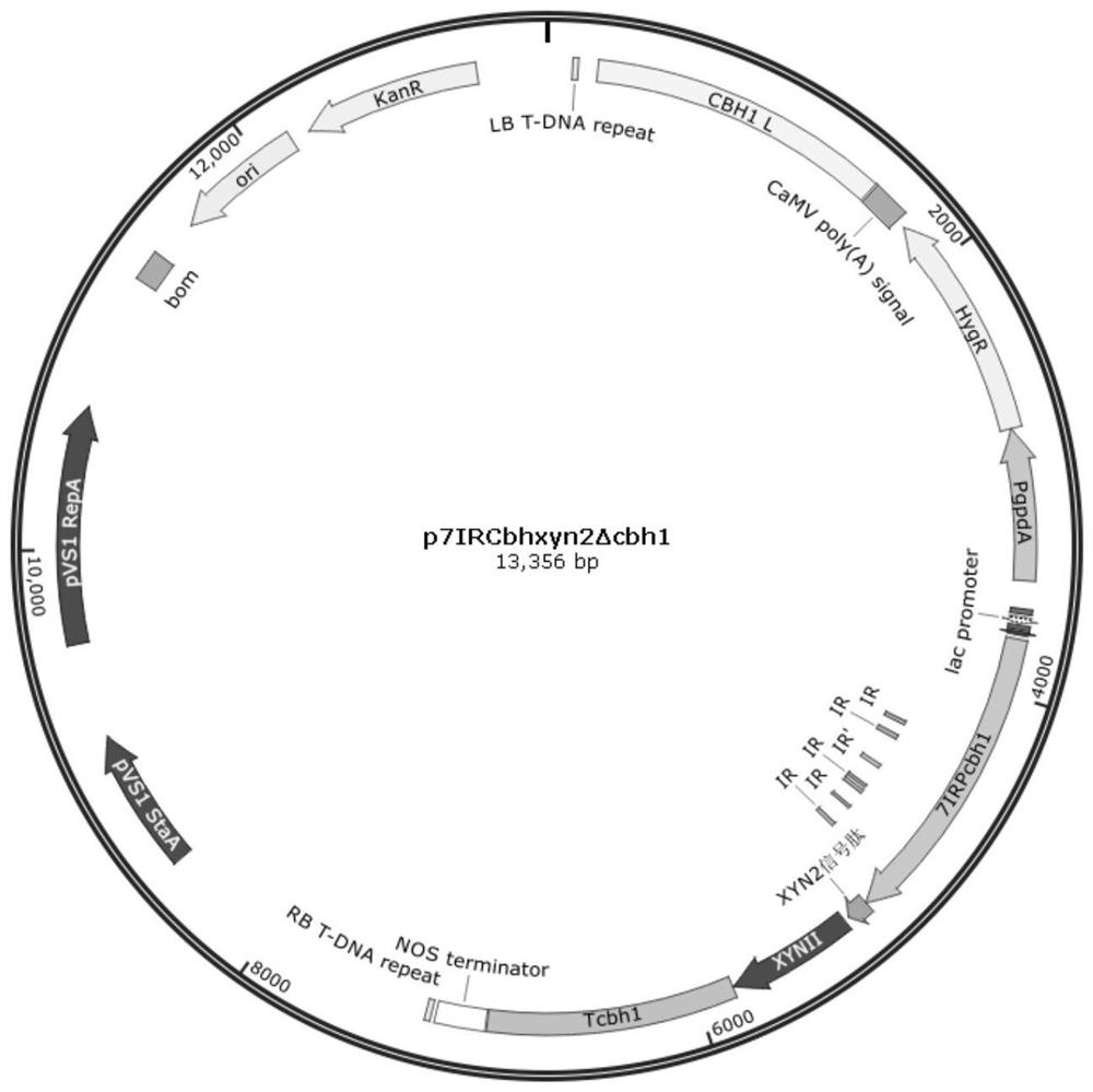 Method for producing xylanase at high yield from trichoderma reesei and application of xylanase